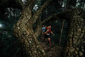 BIB: 
                            <button type="button" onclick="openModal(25699179)" class="btn btn-primary btn-sm float-right btn-popup" data-toggle="modal" data-target=".modal-high-quality">
                        <i class="fas fa-shopping-cart"></i> Add to Cart
                    </button>
                                            <button type="button" onclick="isThisMe(25699179, true)" class="btn btn-success btn-sm float-right btn-popup btn-isme hidden" data-toggle="tooltip" data-placement="bottom" title="นี่คือรูปของคุณใช่ไหม คลิกที่นี่เพื่อเอาเข้าอัลบั้ม">
                        <i class="fas fa-plus"></i> Add to album
                    </button>
                    <button type="button" onclick="isThisMe(25699179, false)" class="btn btn-warning btn-sm float-right btn-popup btn-isnotme hidden">
                        <i class="fas fa-ban"></i> Remove from album
                    </button>